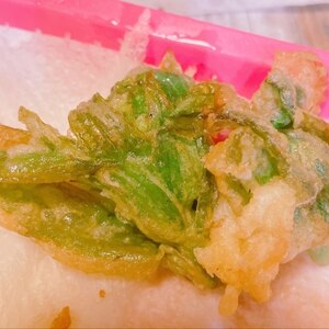 【春】季節の旬レシピ　ふきのとうの天ぷら